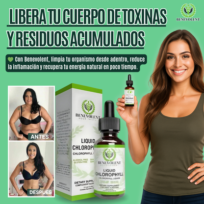 BENEVOLENT | CLOROFILA LIQUIDA - BIENESTAR NATURAL Y LIMPIEZA INTERNA